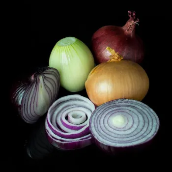 Onion (16)-4241130-42364.webp